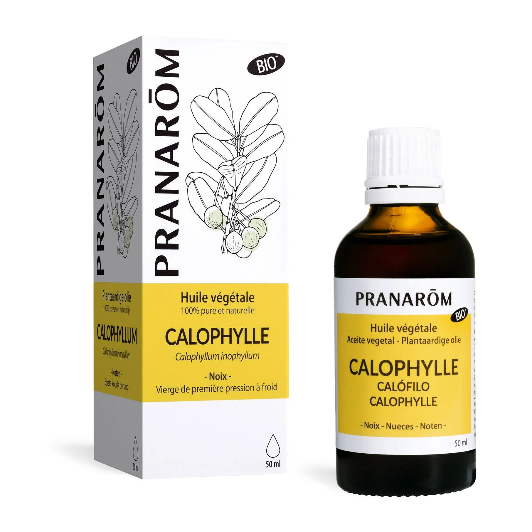 Pranarom - Huile Végétale de Calophylle - Bio - 50 ml
