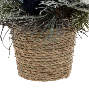 COMPO POT BLEU H19CM