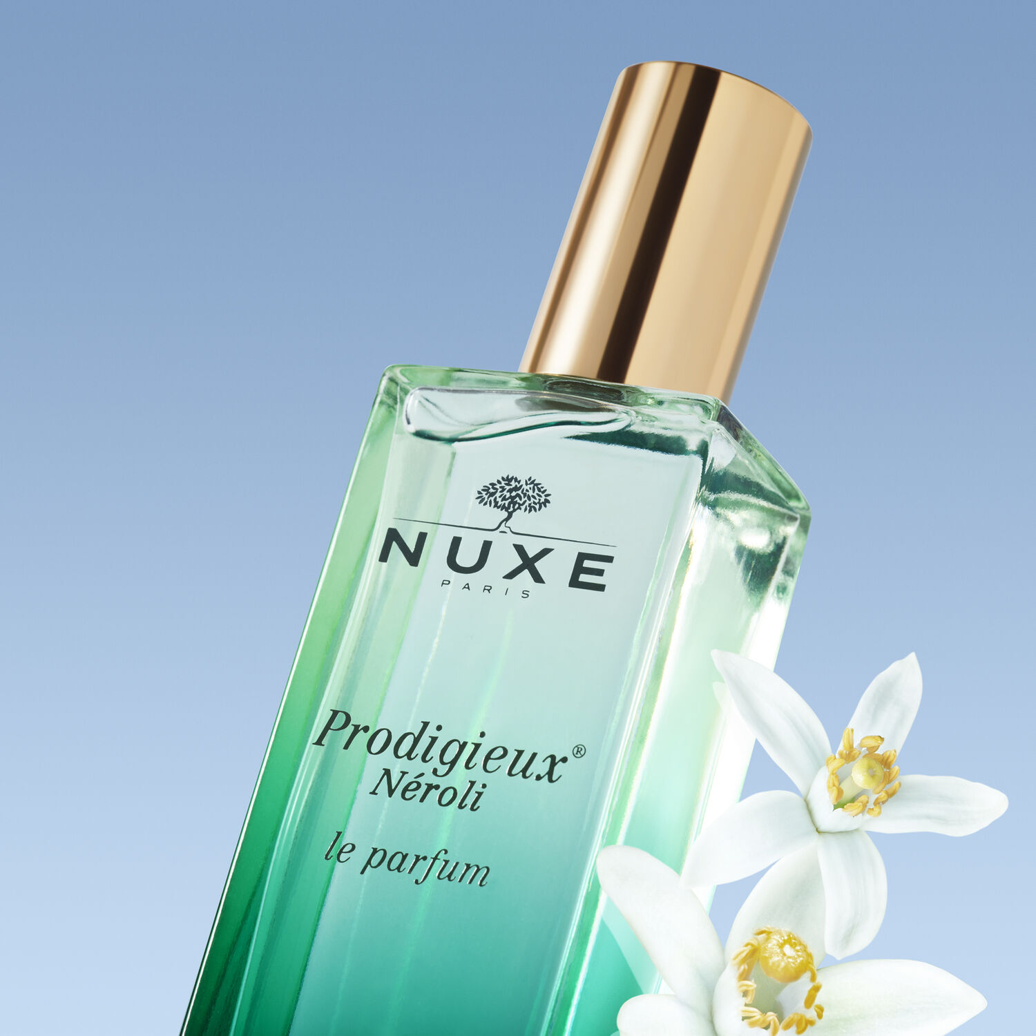 Prodigieux® Neroli le Parfum - Toutes peaux - 50ml