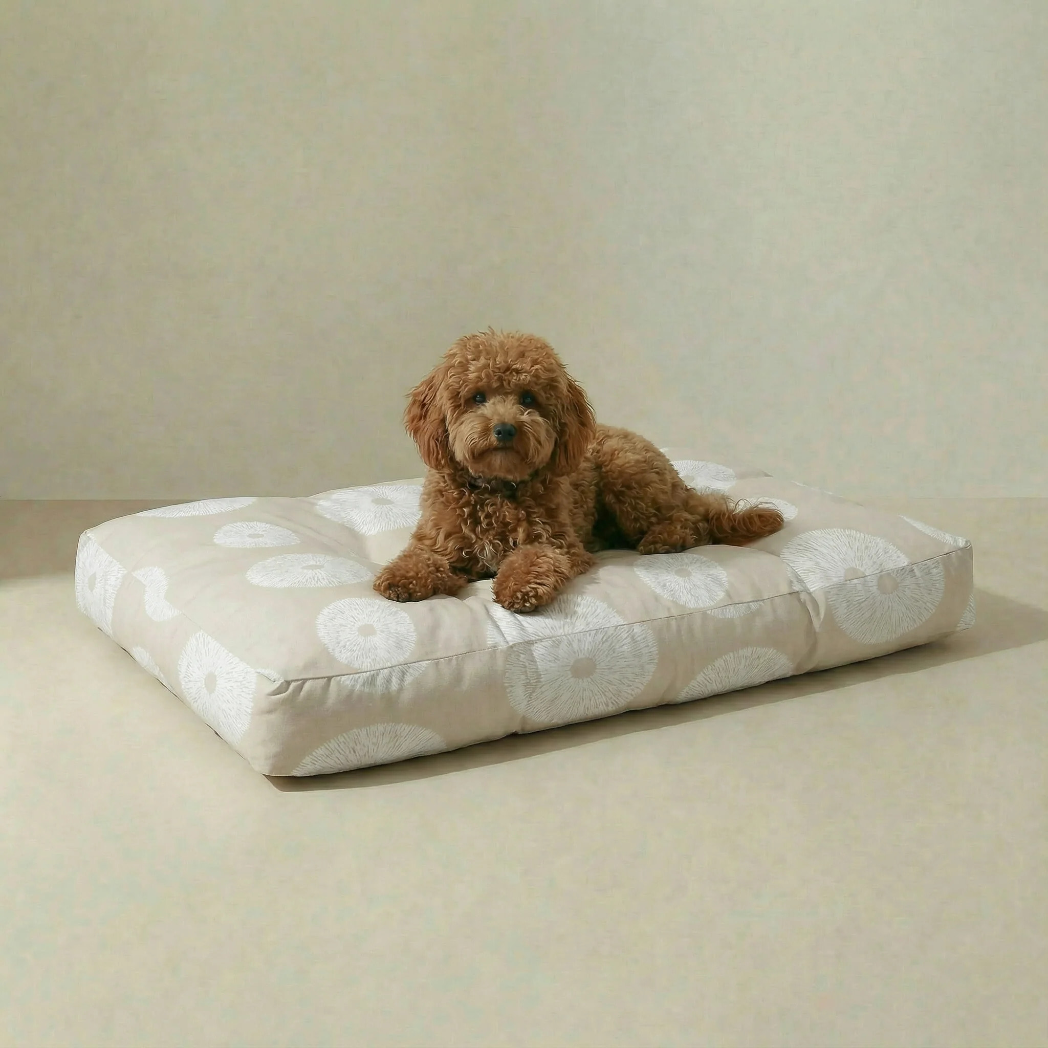 Lit pour animaux antitaches Lolani