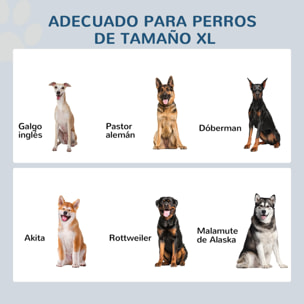 Comedero Elevado para Perros Cuencos para Perros con 2 Tazones de Acero Inoxidable y Espacio de Almacenaje Oculto 60x30x41 cm Blanco