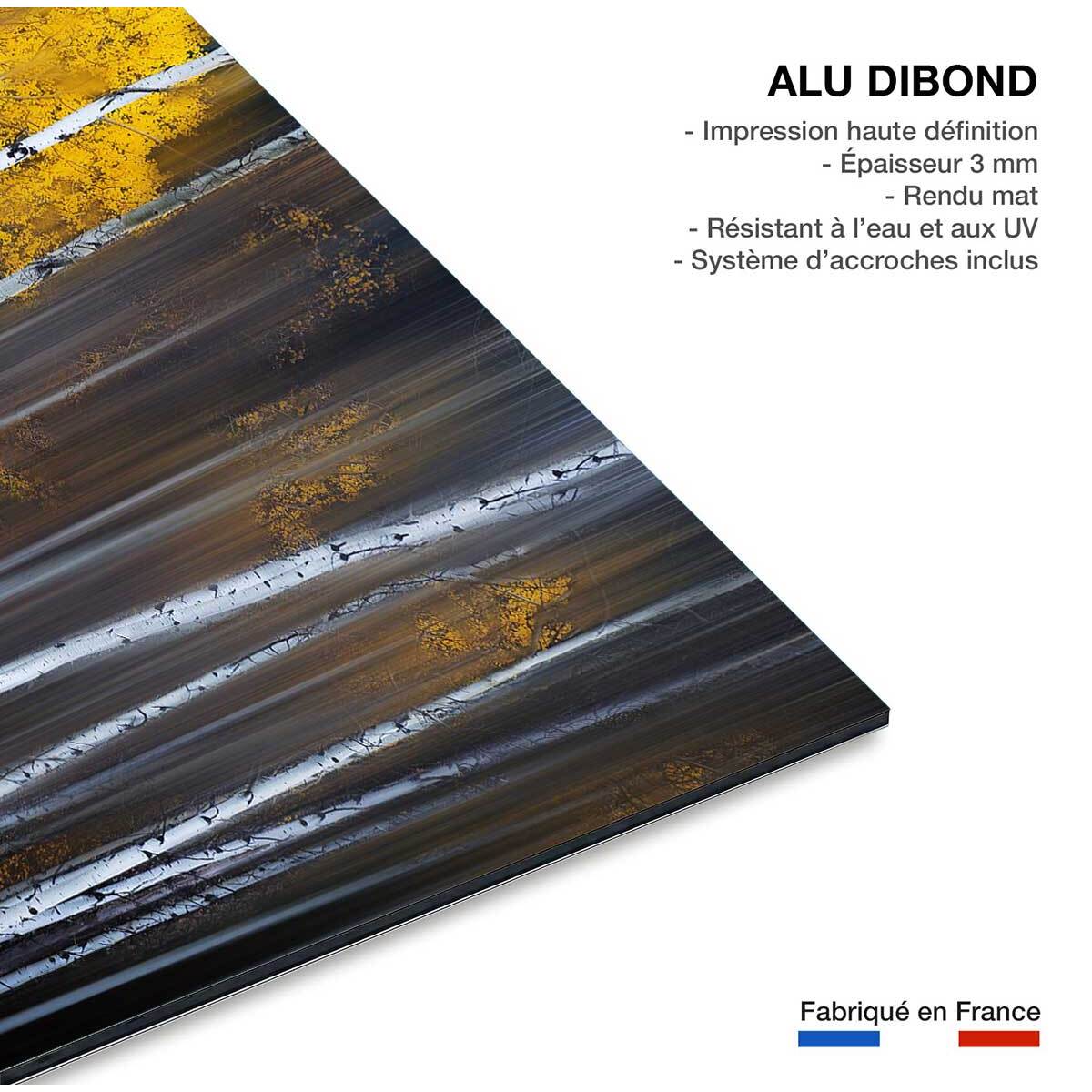 Tableau paysage Rideau d'automne Tableau alu Dibond