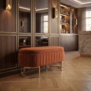 Panca Contenitore Ovale in Effetto Velluto con Ampio Vano Contenitore, Seduta Imbottita e Gambe in Acciaio, Design Elegante per Camera da Letto, Ingresso e Soggiorno