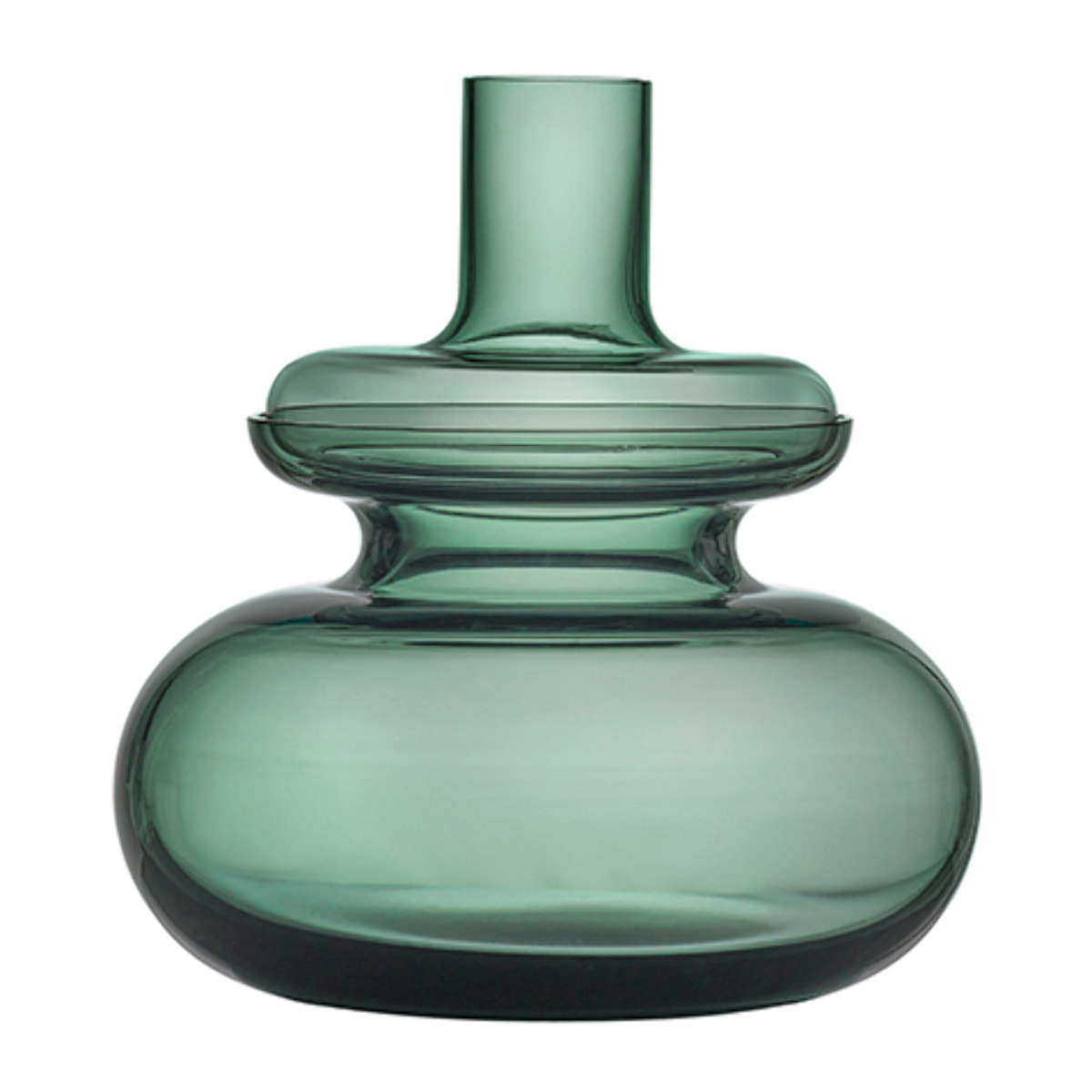 Vase Inu
