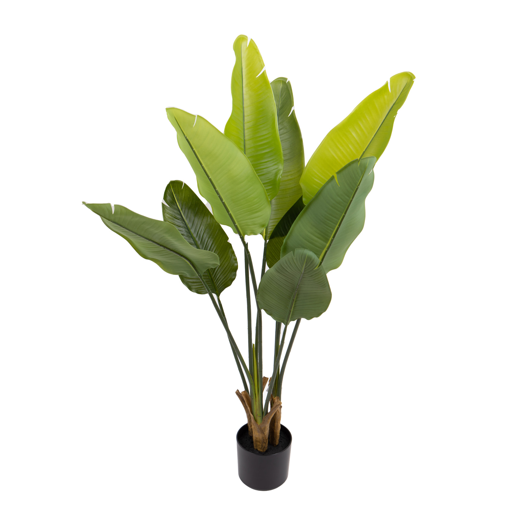 Real touch sterlizia - Pezzi 1 - Colore: Verde - Bianchi Dino