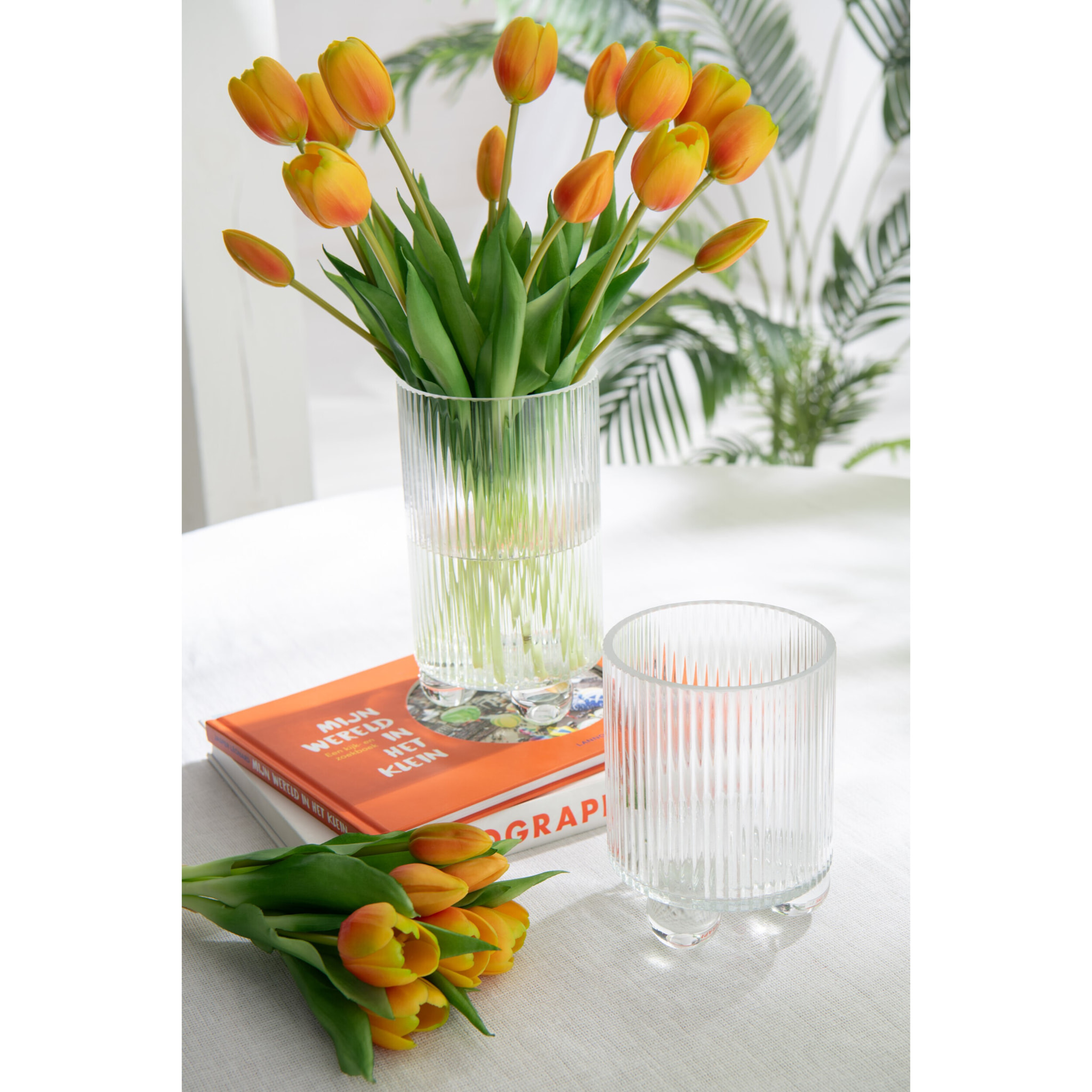J-Line photophore Clara - verre - transparent - small