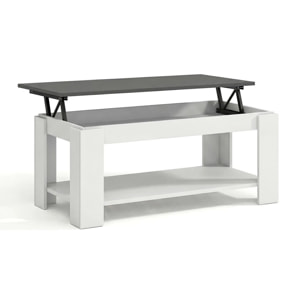 Mesa de centro elevable con almacenaje en blanco mate y gris grafito 102x43-54 cm Lya Blanco Artik (Blanco Mate) - Gris Grafito