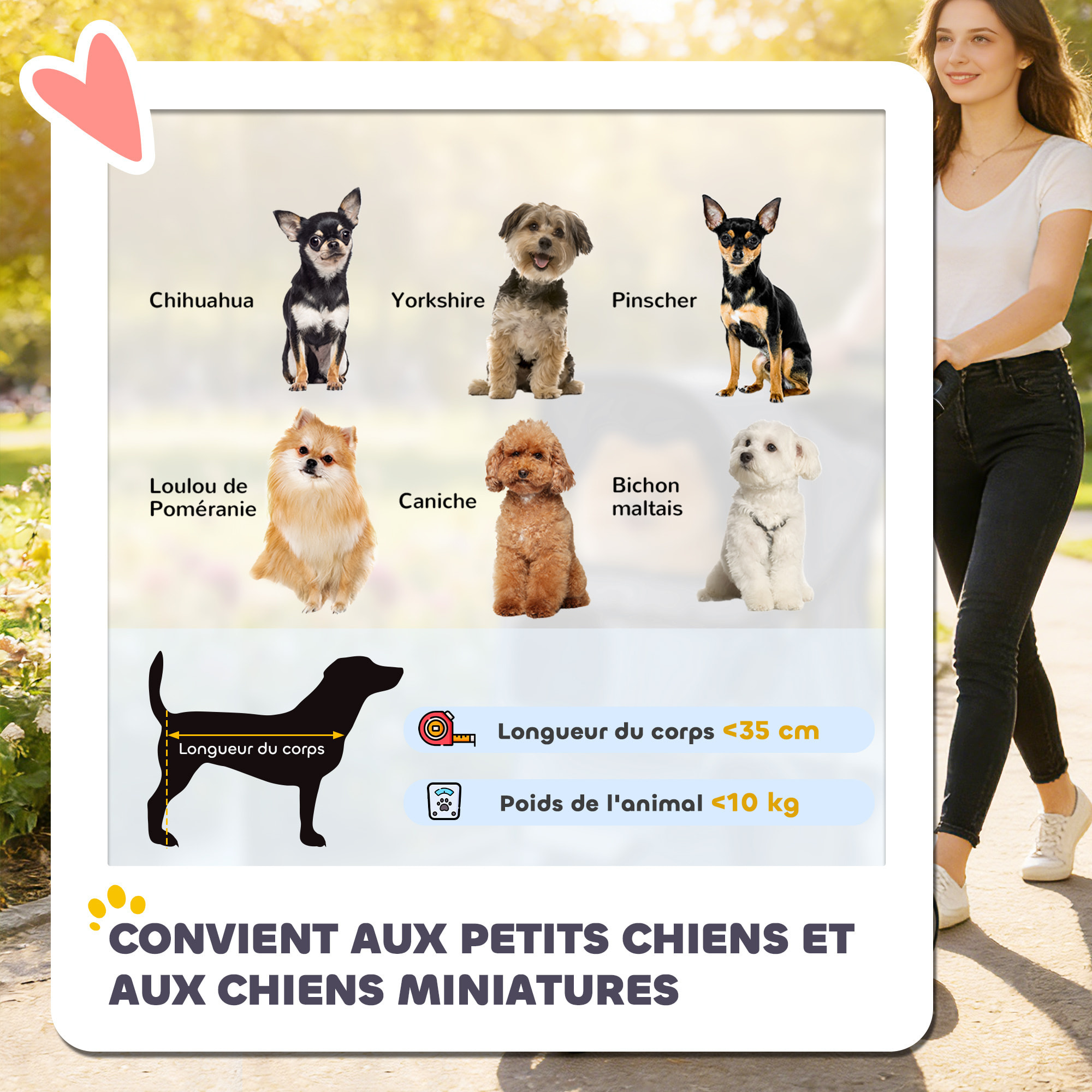 Poussette buggy pliable pour chiens tissu 600D Oxford imperméable 4 roues gris