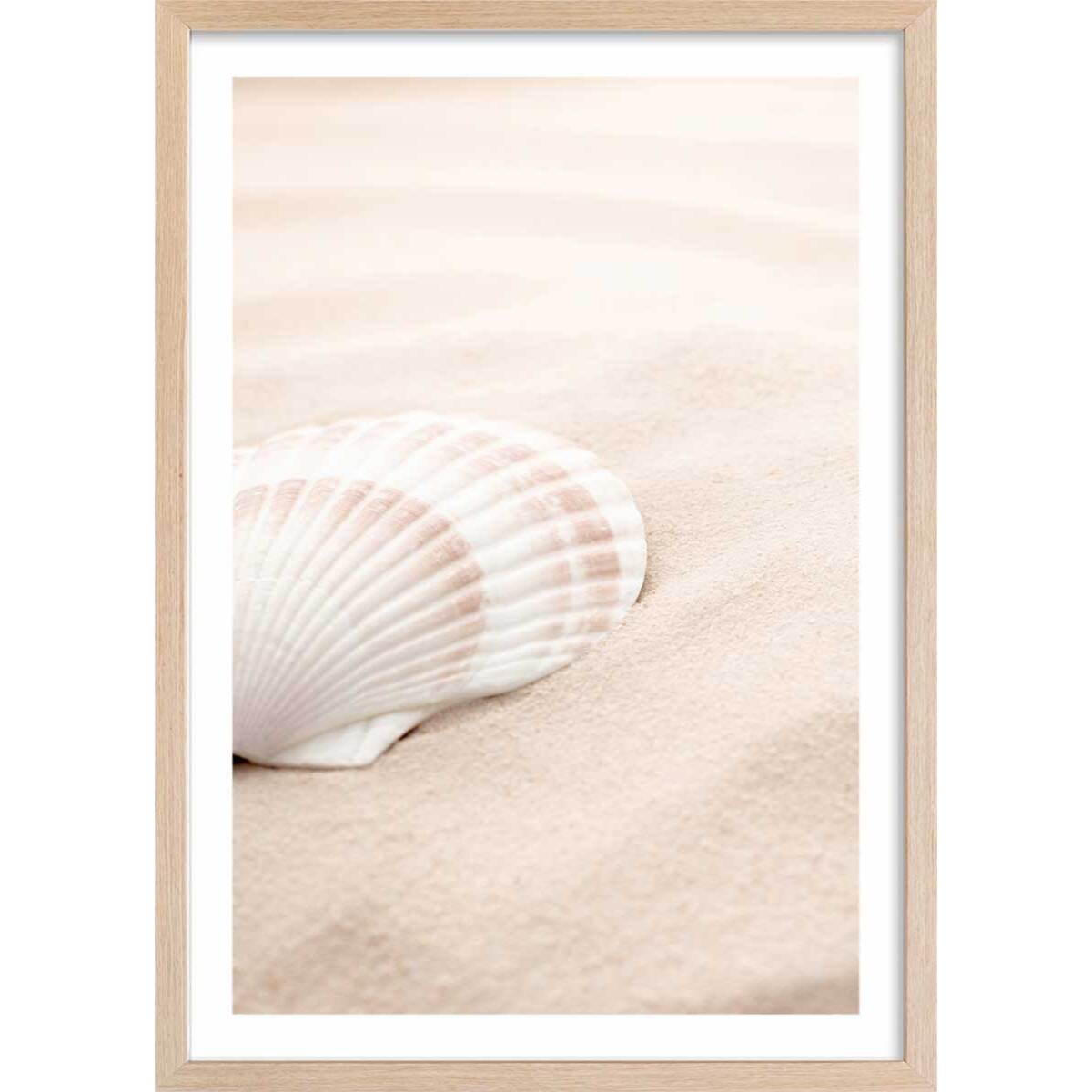 Poster coquillage Affiche + cadre en bois - Chêne