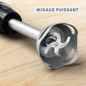 Mixeur MOULINEX Quickchef+ 3 en 1 noir DD673810