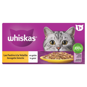 WHISKAS 48 Sachets fraîcheur en gelée 4 variétés volaille pour chat 85g (4x12)