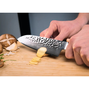 Set asiatico di coltelli (3 coltelli) - Collezione Pakka Damasco