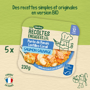 5 Assiettes Purée de Panais, Lentilles Corail et Saumon Sauvage - Bledina Les Recoltes Engagées - Dès 12 mois