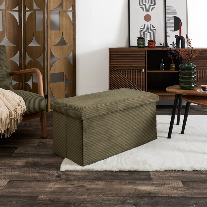 Coffre Banc Pliable Cotele Scott Vert