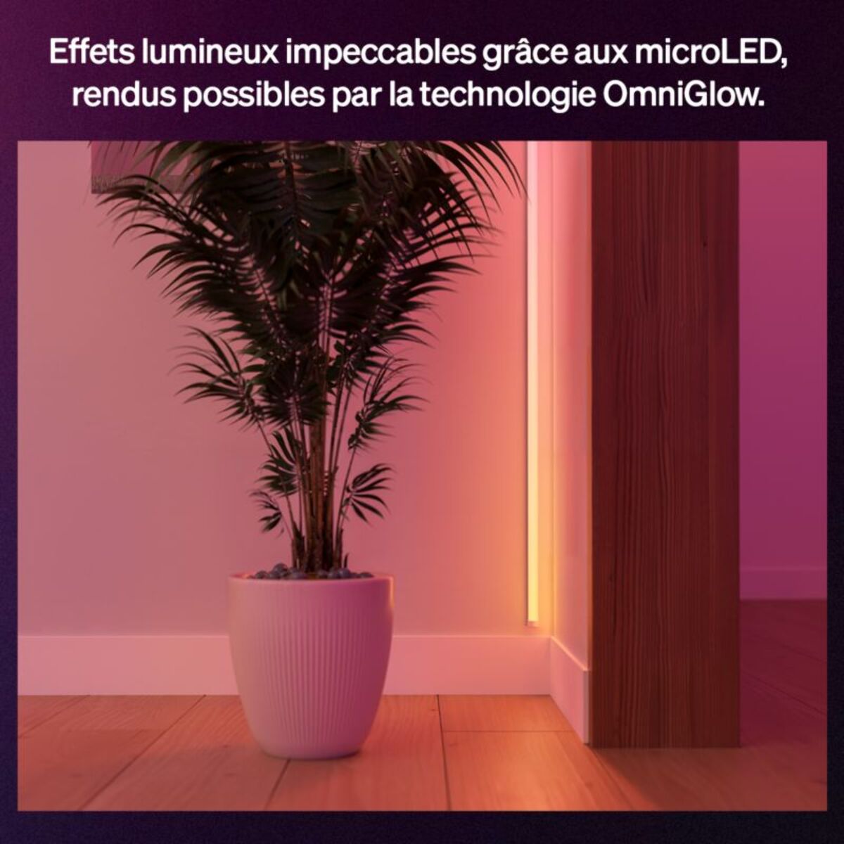 Bandeau LED PHILIPS HUE OmniGlow Strip Light 3m White&Color grad