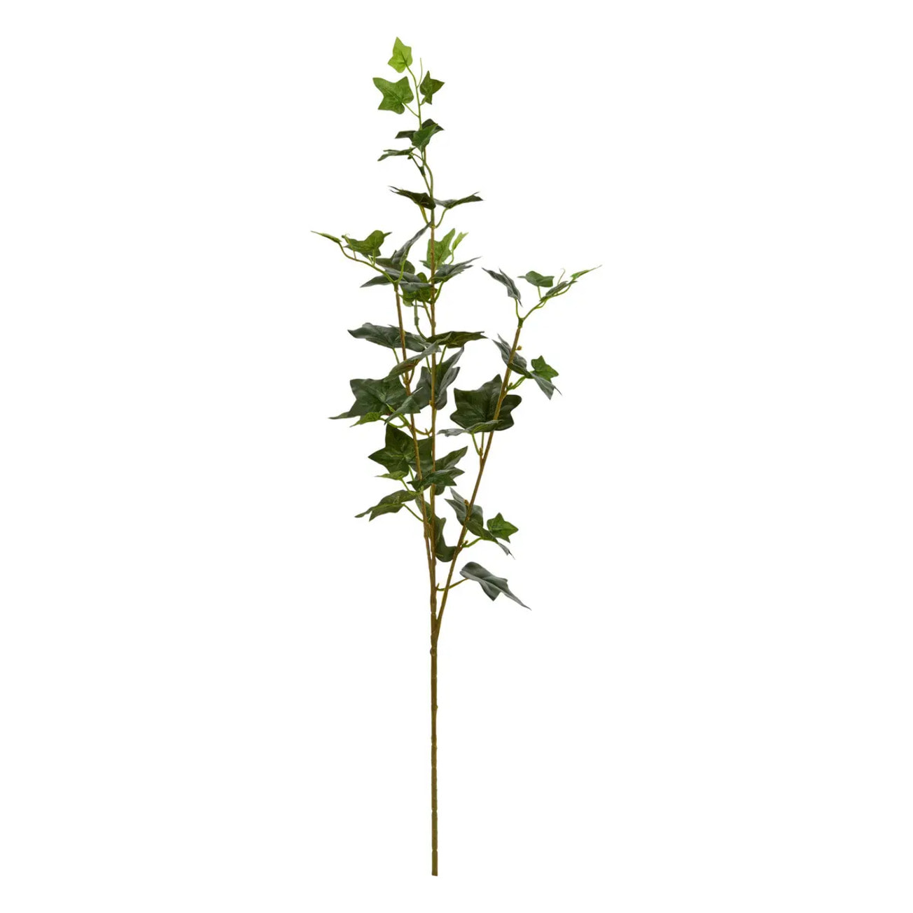 Tige de lierre Nelia H.80cm vert