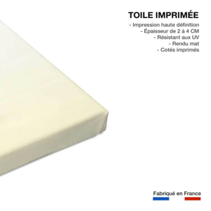 Tableau fruits décoration cuisine Toile imprimée