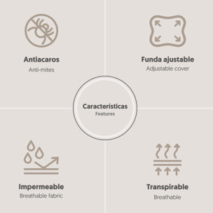 Protector Maxicuna Plastificado