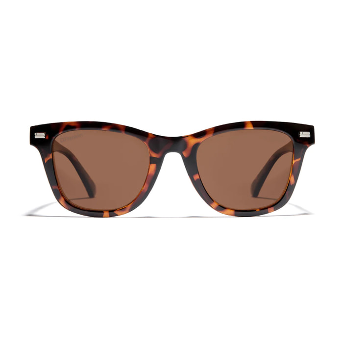Gafas De Sol D. Franklin Hudson