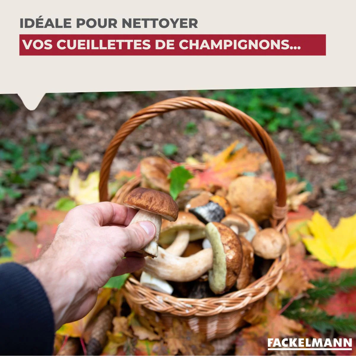 Brosse à légumes en bois Fackelmann Wood Edition