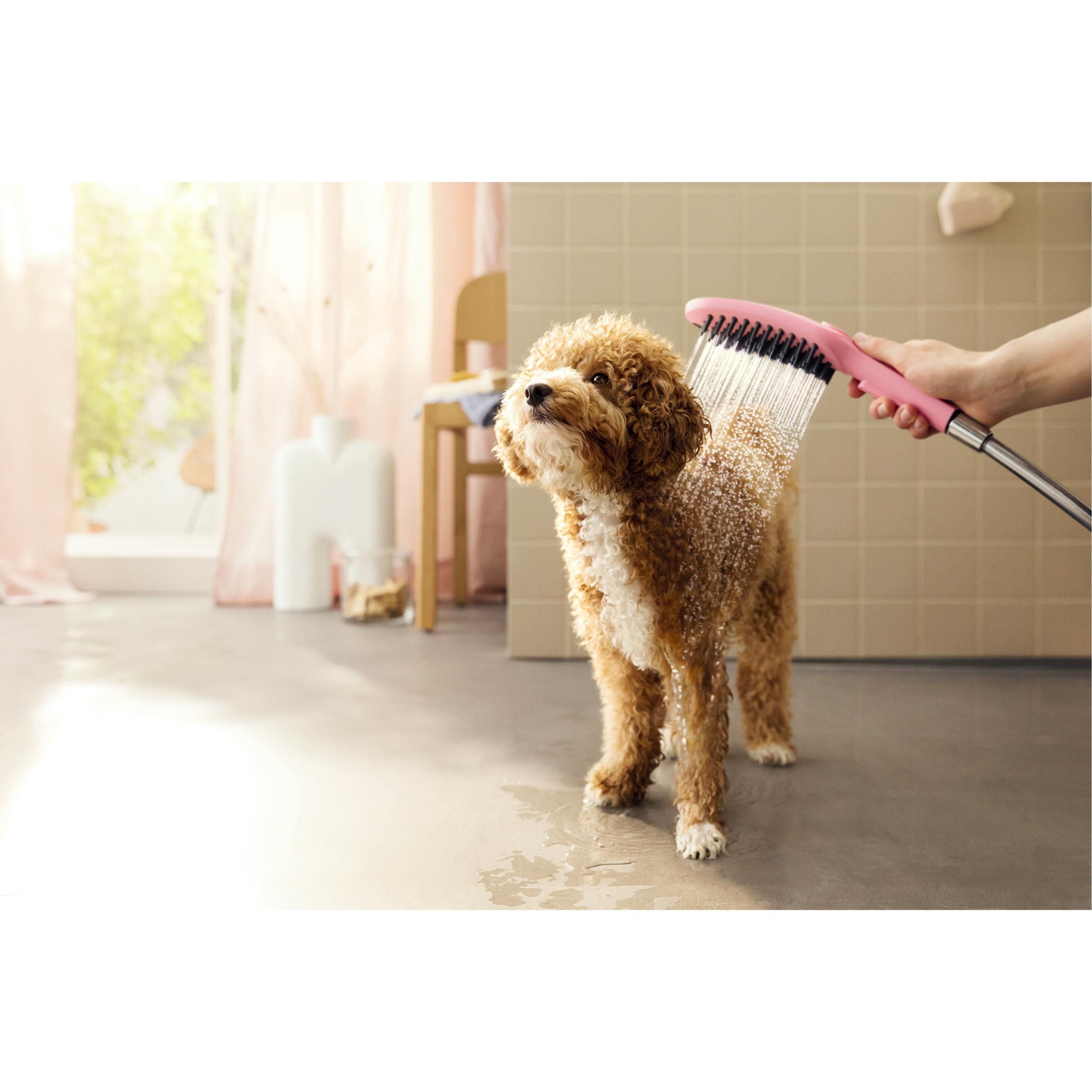 DogShower Douchette pour chien 150 3 jets avec buses massantes, rose