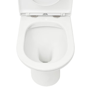 Brevis cuvette WC à poser adaptée PMR sans bride en céramique (réservoir non fourni), blanc (SATBRE033RREXVPB)