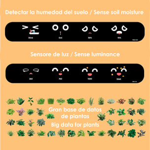 Maceta inteligente Ivy con sensores internos y externos, pantalla interactiva con expresiones faciales, batería de 2000mAh y monitoreo completo de la planta.