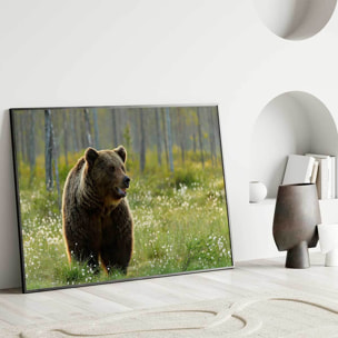 Affiche encadrée ours brun dans la forêt Affiche + cadre en métal - Noir