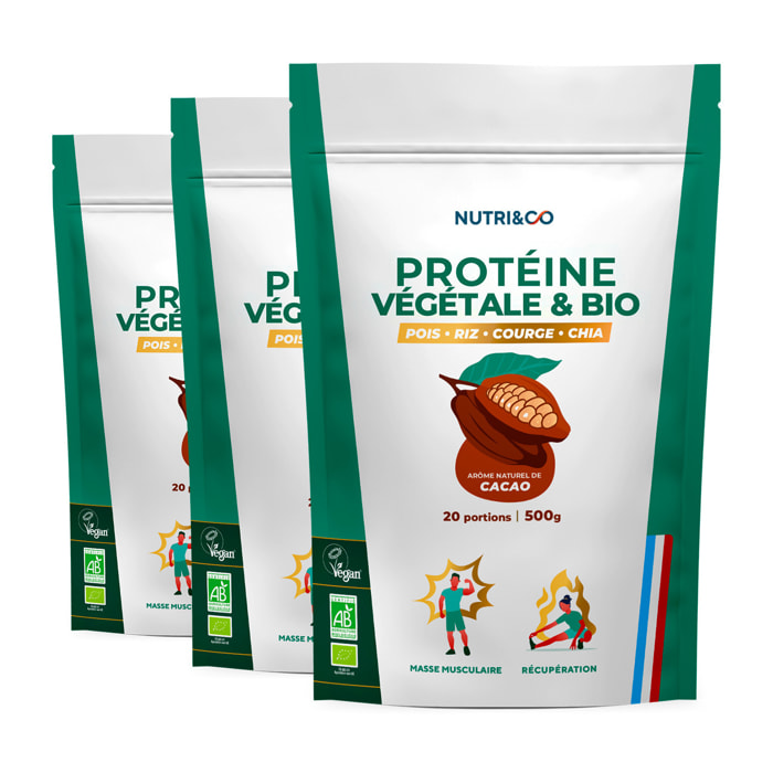 Protéine Vegétale & Bio - 4 Sources : Pois, Riz, Chia et Courge - 500g goût Cacao - Lot de 3