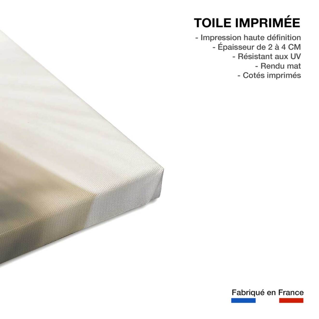 Tableau plantes fleur blanche au coeur violet  Toile imprimée