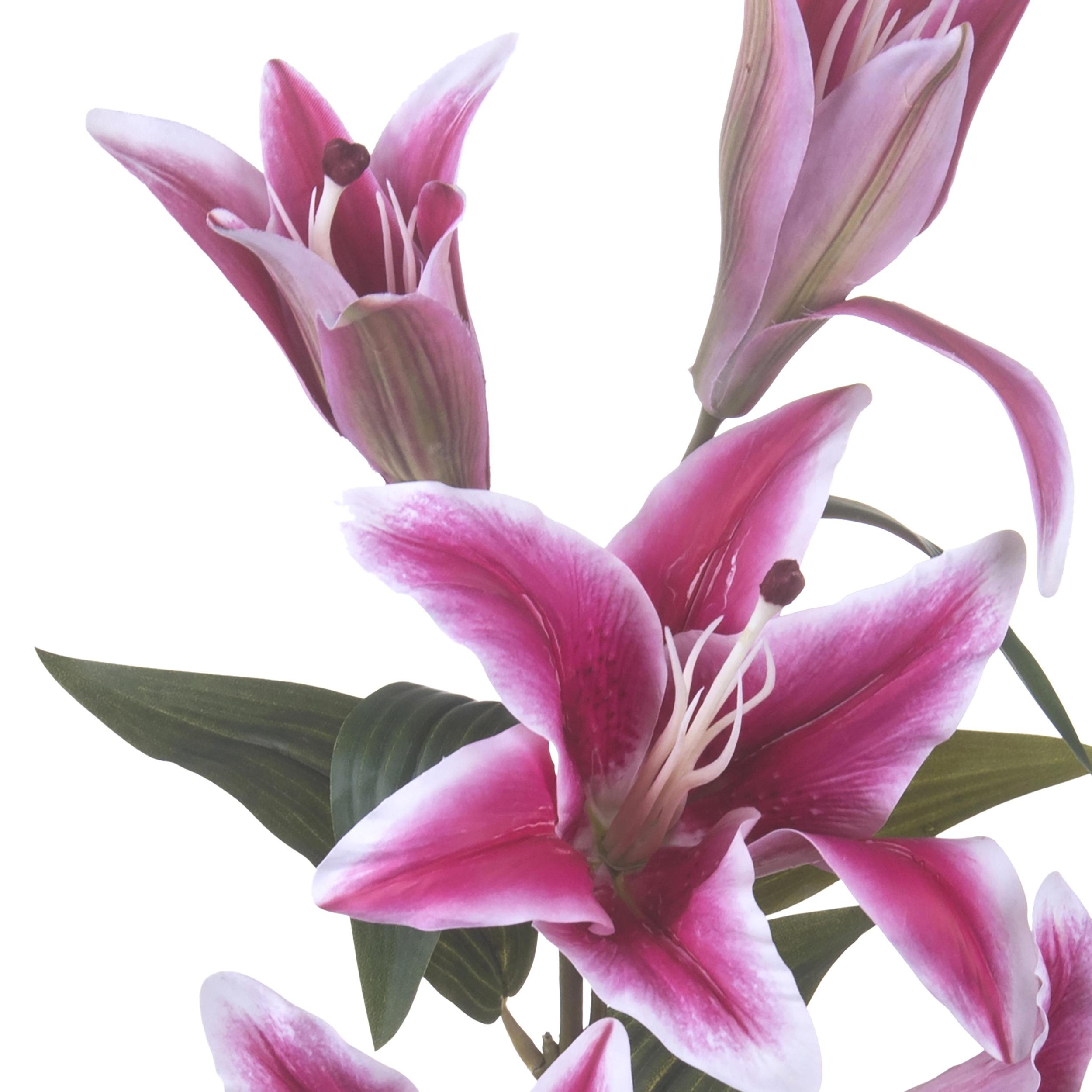 Lilium Composto Da 5 Fiori. Altezza 100 Cm - Pezzi 3 - 37X100X18cm - Colore: Rosa - Bianchi Dino - Fiori Artificiali