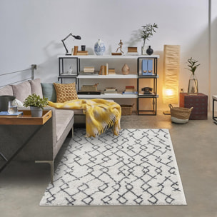 Tapis Shaggy longues mêches et aux motifs traditionnels Berbères