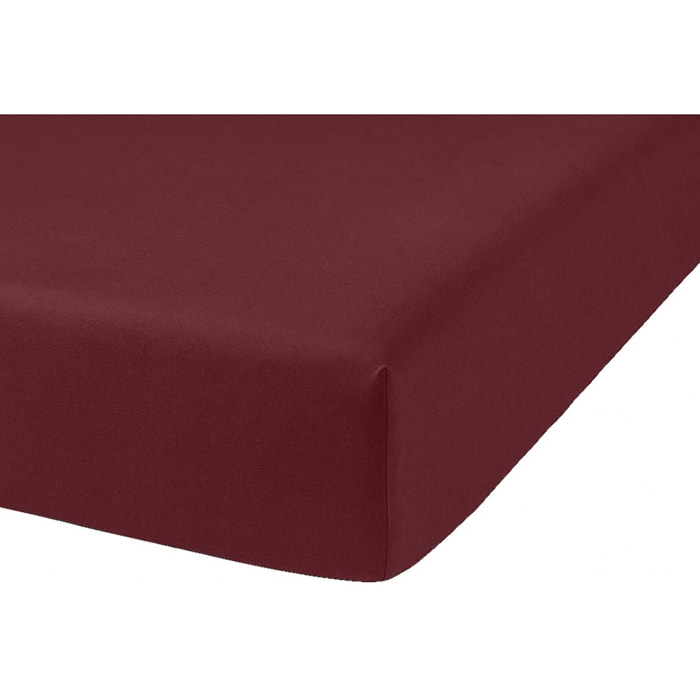 Drap Housse Coton 57fils Uni - Bonnet 35cm Grenat