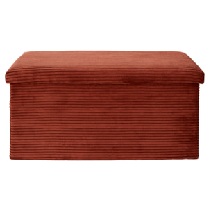 Coffre Banc Pliable Cotele Scott Terra