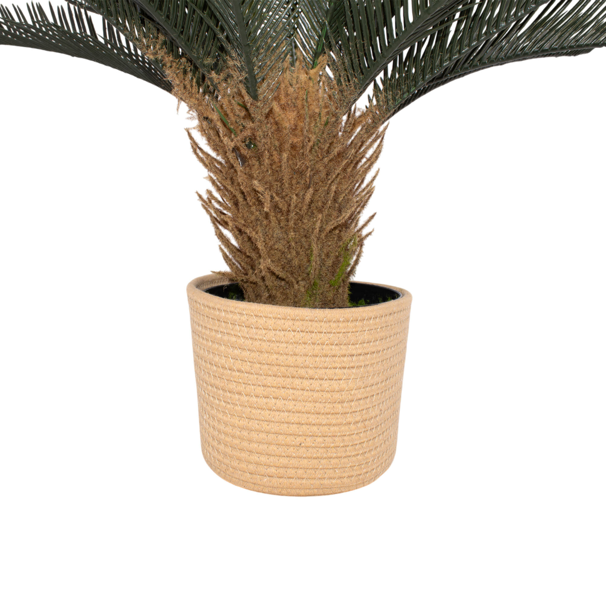 Cycas 85 - Pianta Artificiale Decorativa Tropicale Cycas H85 cm per Interno Esterno con Vaso Beige