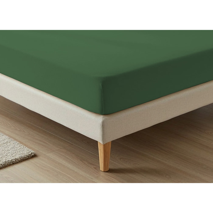 Lenzuolo Sotto Con Angoli No Stiro Tinta Unita Francesca Sottobosco