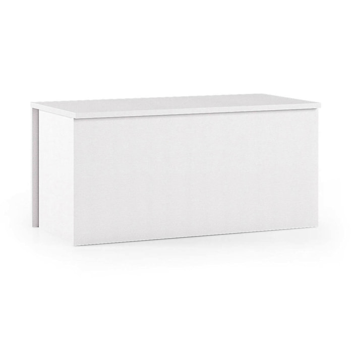 Baule Miltonia, Capiente box contenitore multiuso, Cassapanca moderna, 100% Made in Italy, Cm 90x45h45, Bianco