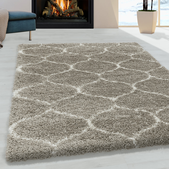 SALSA - Tapis shaggy à poils long berbère beige - SAL3201BEI