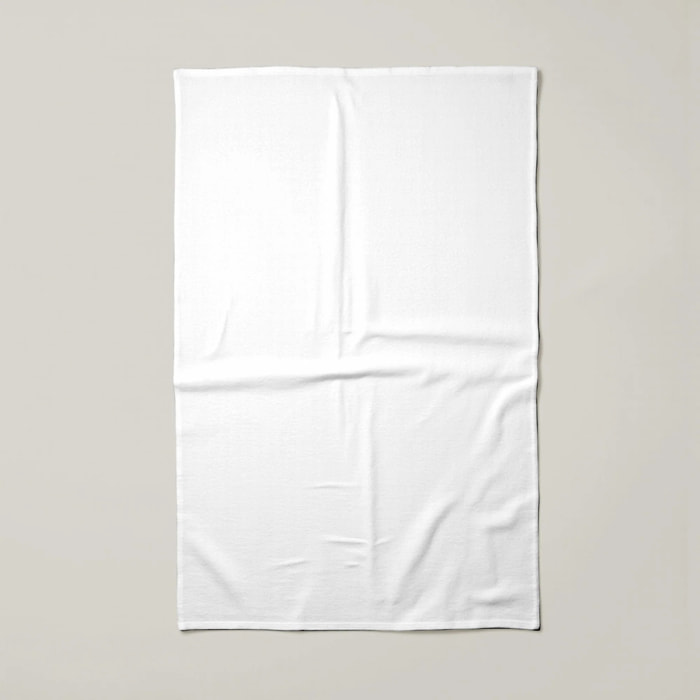 Lot de 2 torchons de cuisine 100% coton Uni Blanc 103