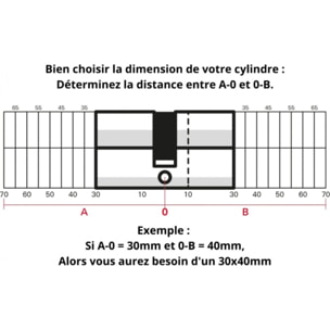 Cylindre de serrure double entrée SA, 45 x 55 mm, anti-arrachement, nickel, 3 clés - 1 pièce - THIRARD - 00016457