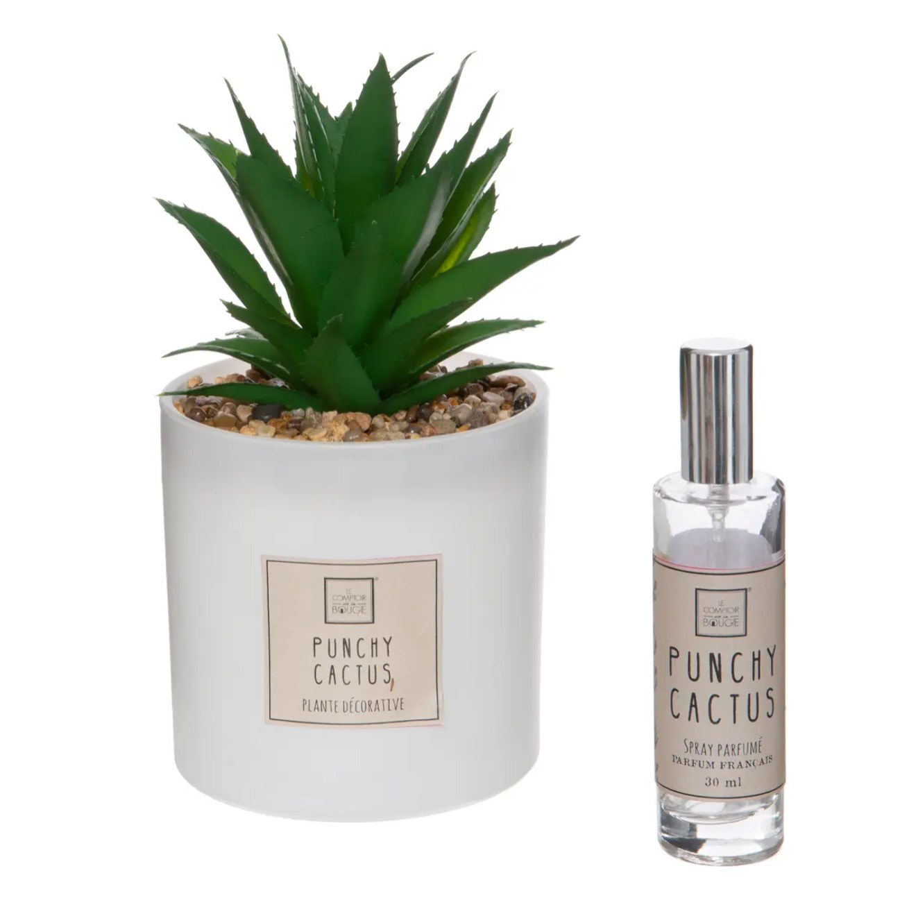 Coffret senteur "Cactus"