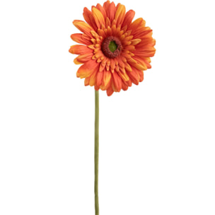 Fiore Di Gerbera Singolo. Altezza 62 Cm - Pezzi 12 - 12X62X12cm - Colore: Arancio - Bianchi Dino - Fiori Artificiali