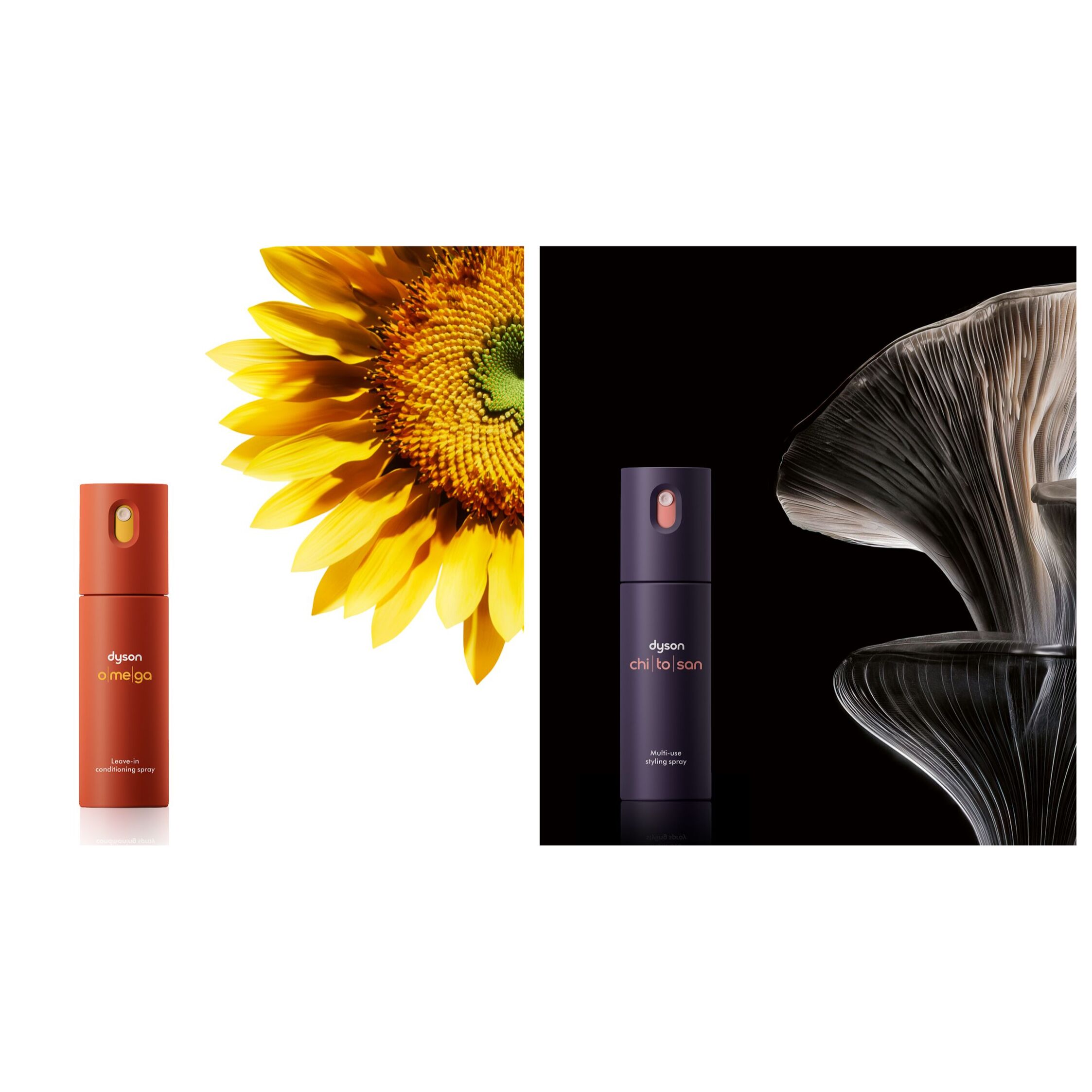 Duo coiffant Dyson Chitosan et Omega