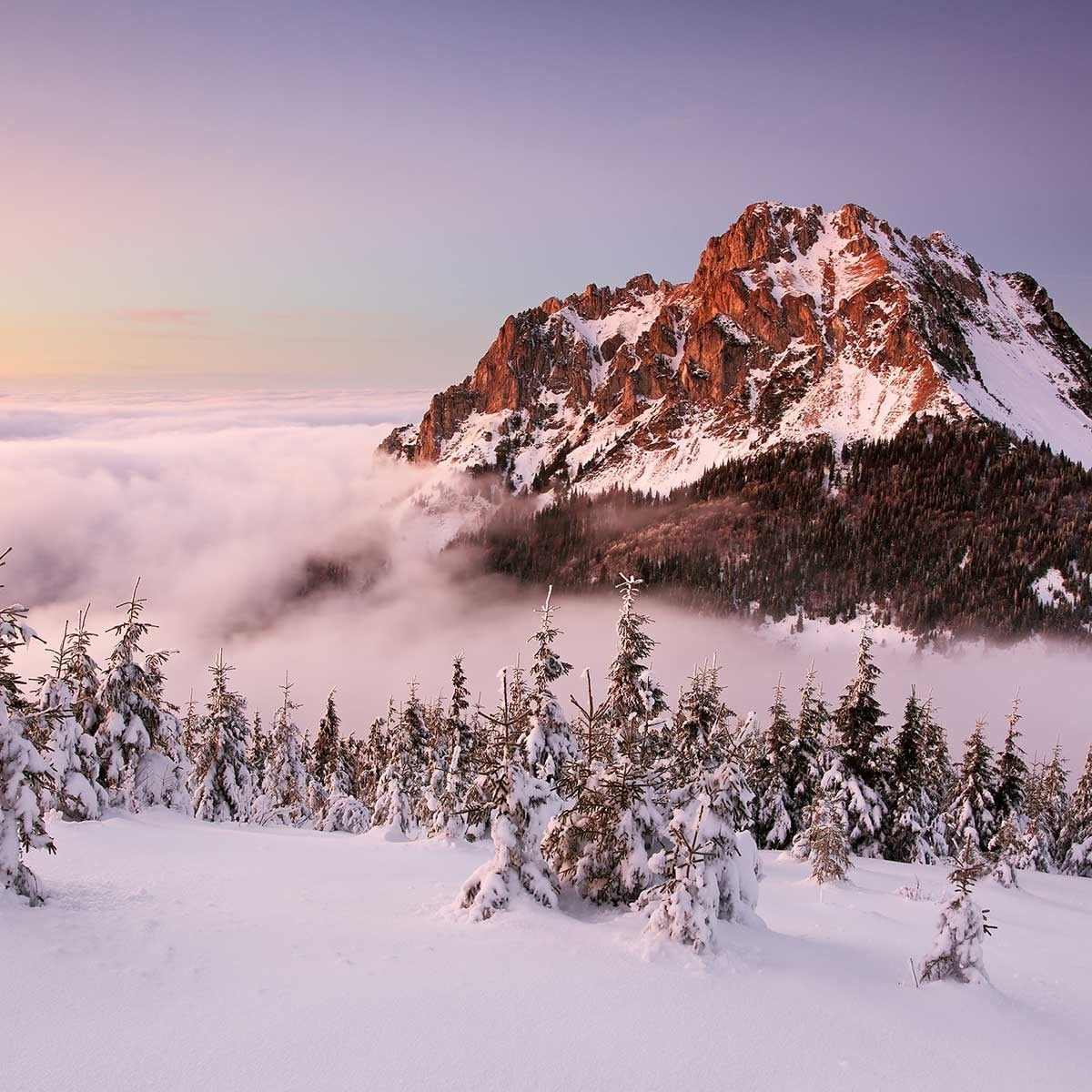 Poster mont ve?ký rozsutec Affiche + cadre en bois - Chêne