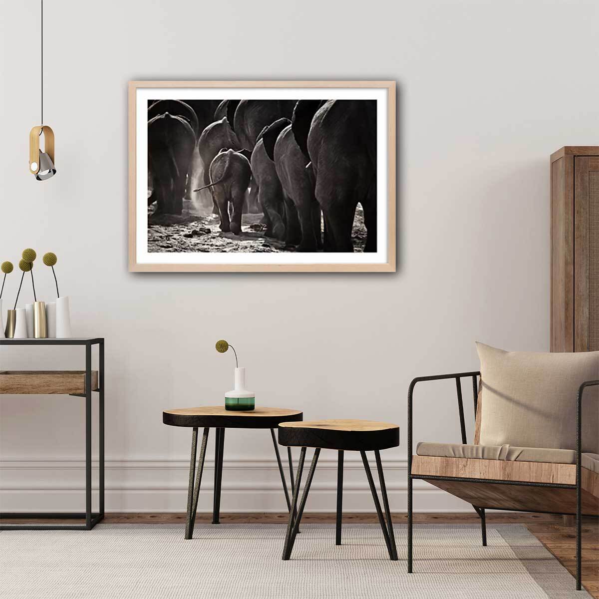 Affiche animaux cap afrique Affiche + cadre en bois - Chêne