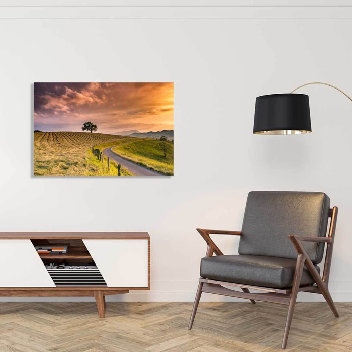 Tableau paysage nature chemin des basques  Toile imprimée