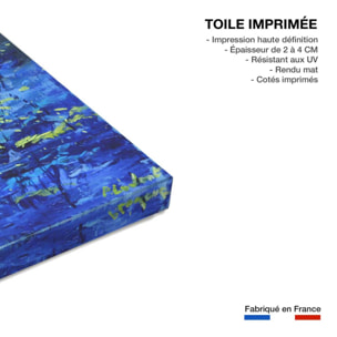 Tableau paysage nenuphars et nymphéas Toile imprimée