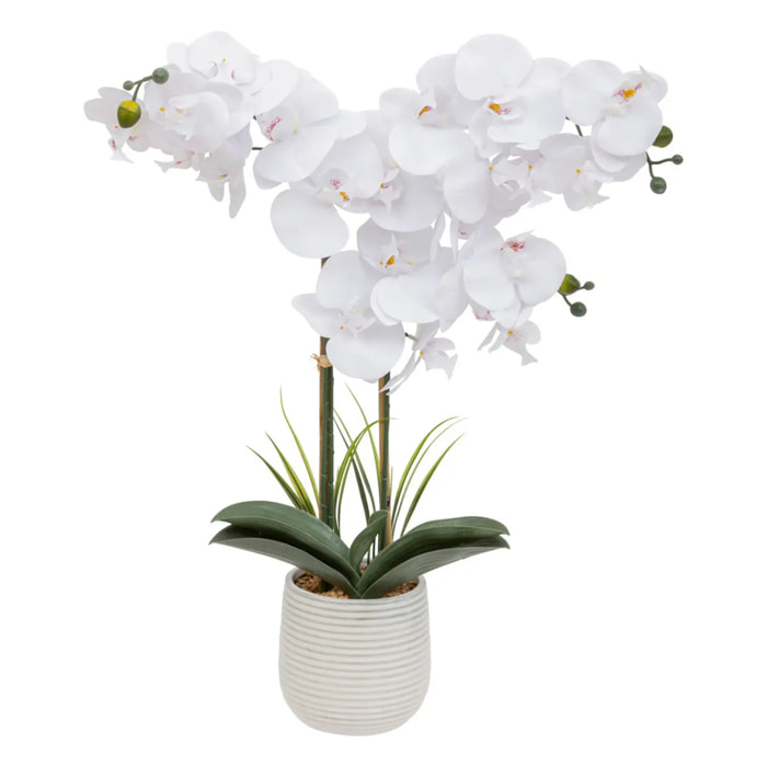 Orchidée artificielle "Riva" H60cm blanc