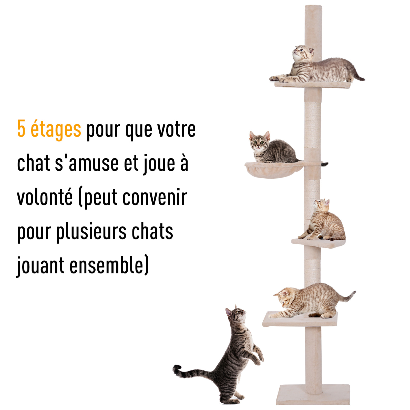 Arbre à chat poteau à griffer L40 x l 34 x H 230-260 cm 5 niveaux d'activités beige