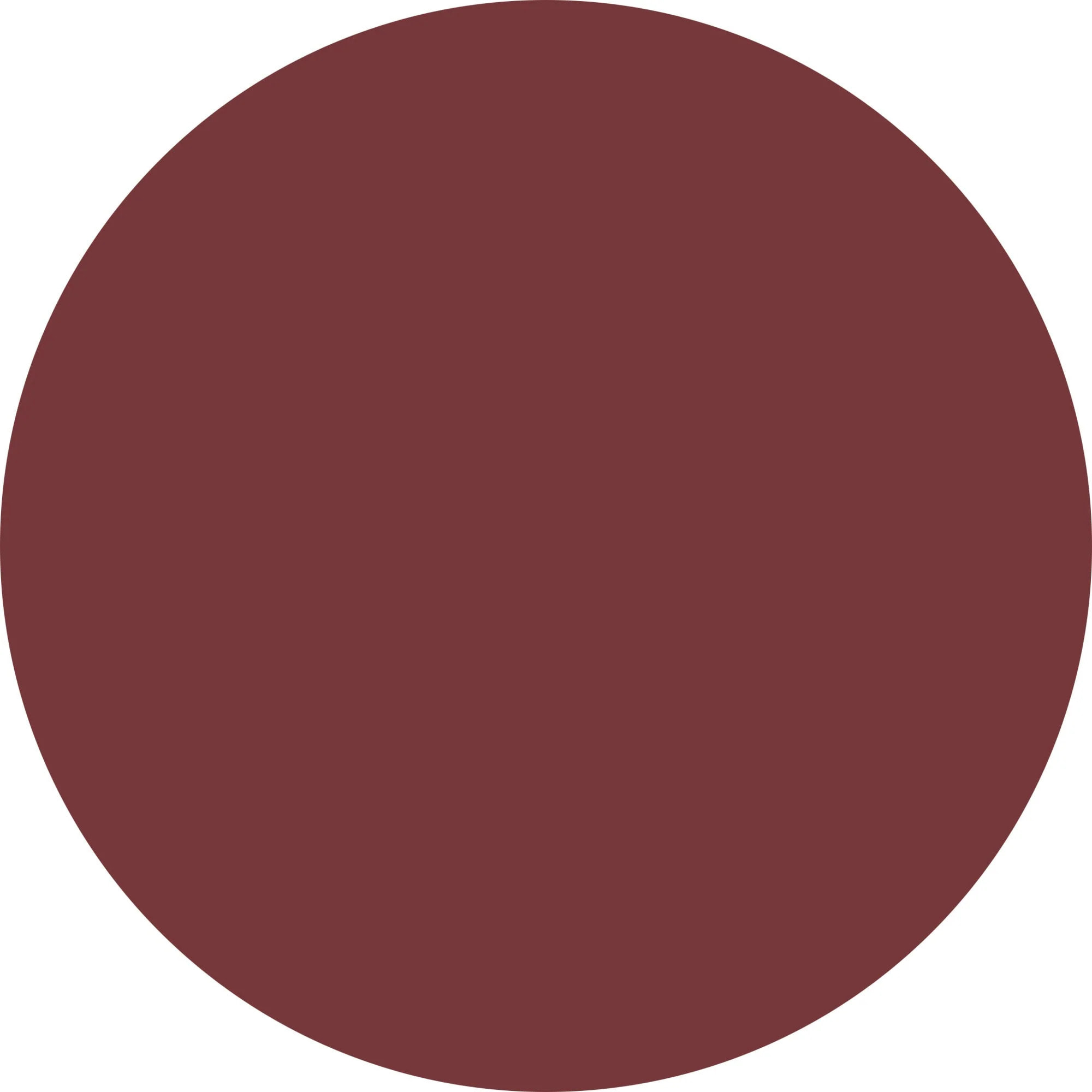 MATT ICON Rossetto dal finish matt vellutato